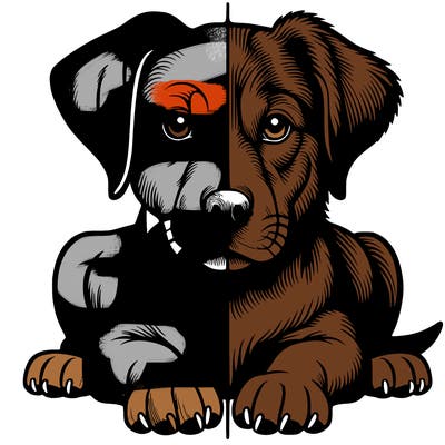 realistic dog split picture