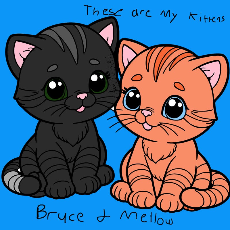kittens