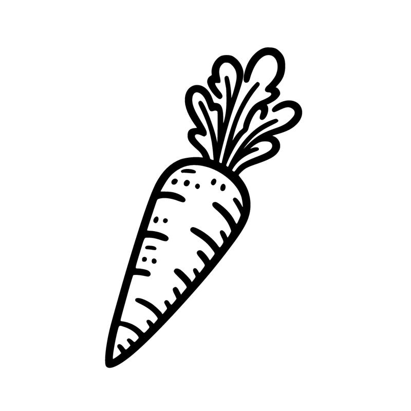 a simple carrot with thin lines for coloring book