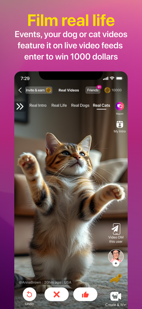 lit.it - Short Video App - A screenshot of the lit.it app showing a short video of a kitten with earning and sharing features.