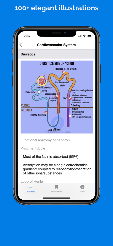 Classify Rx for pharmacology - A medical illustration showing the sites of action for diuretic drugs within a nephron on the Classify Rx app.