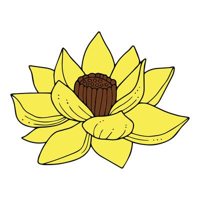 flowers_08