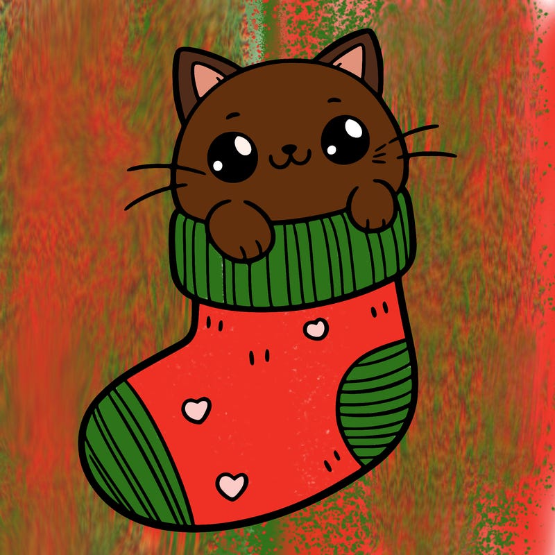 cute cat in a sock
