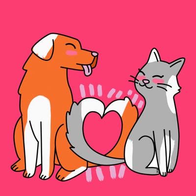 animals_22