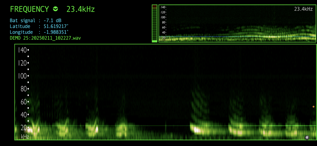 Bat Detector - A screenshot of the Bat Detector app interface showing an ultrasonic frequency spectrogram at 23.4kHz with GPS coordinates.