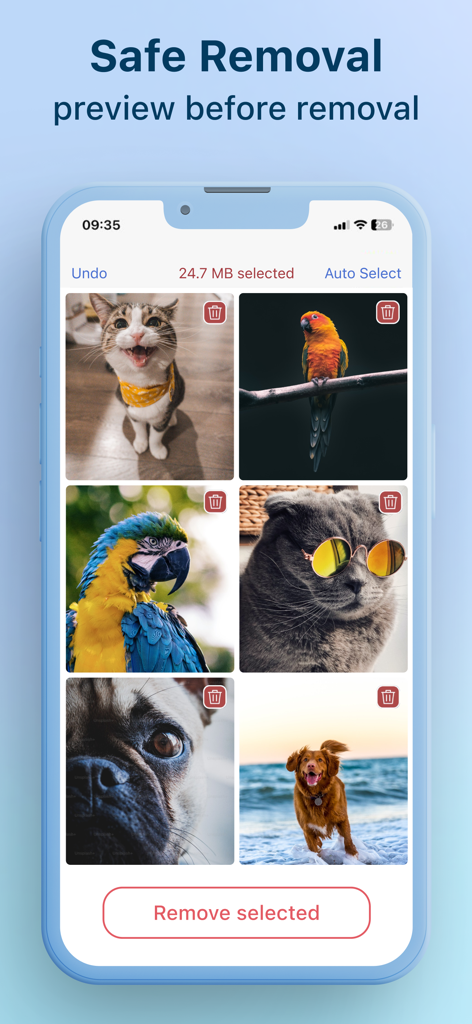 Cleaner-App - Interface montrant la fonction d'aperçu et de suppression sécurisée des photos de Cleaner-App