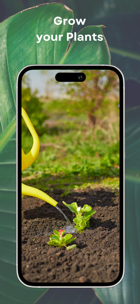 iPhone screen displaying the Petals app feature for plant growth with an image of a seedling being watered by a yellow can.