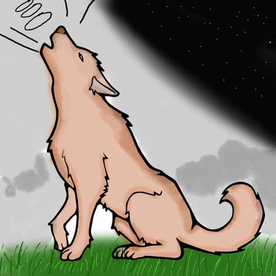 animals_36