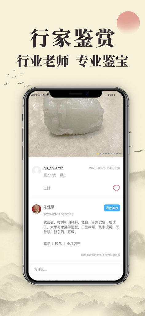 皮皮鉴宝-天天鉴宝 - Pipi Jianbao mobile app screenshot showing expert antique appraisal of a jade artifact