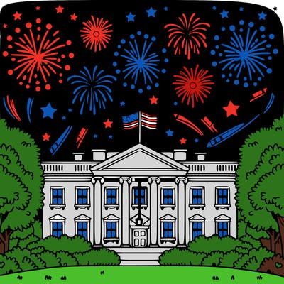 the white house with fireworks in the sky