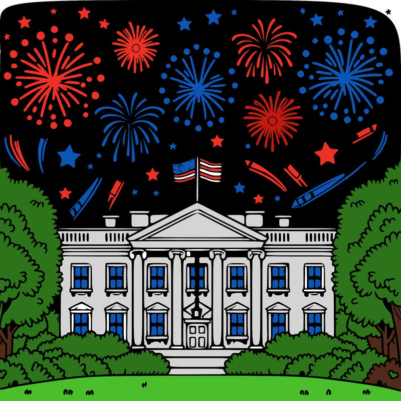 the white house with fireworks in the sky