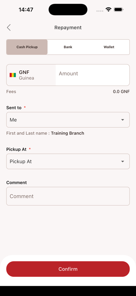 BnB POS - Pantalla de pago en la aplicación BnB POS para cobro en efectivo en Guinea