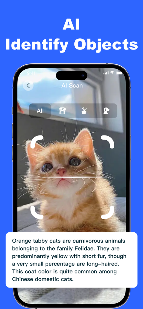 Wise QR - Barcode Scanner - Interfaz de la aplicación Wise QR mostrando reconocimiento de IA de un gatito atigrado naranja