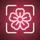 FlowerAI: Identify Flowers