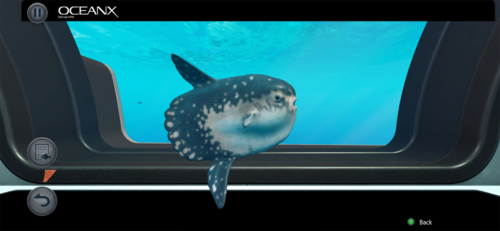 Beyond Blue - Um grande peixe-lua visto de uma embarcação de pesquisa subaquática em Beyond Blue.
