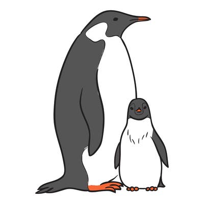 animals_31