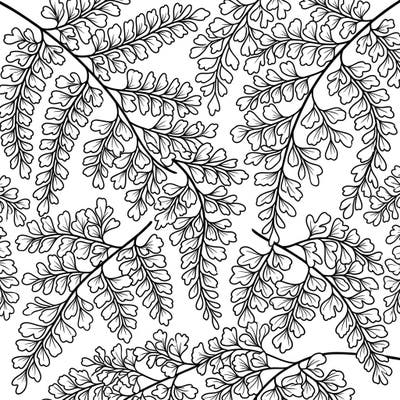 Immerse yourself in the delicate beauty of nature with this exquisite maidenhair fern coloring page. Designed with seniors in mind, its large print and clear outlines offer a wonderfully accessible and relaxing creative escape.