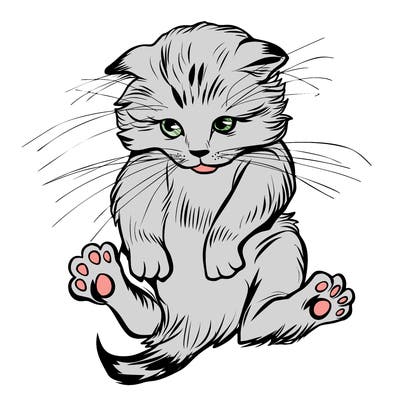 animals_20