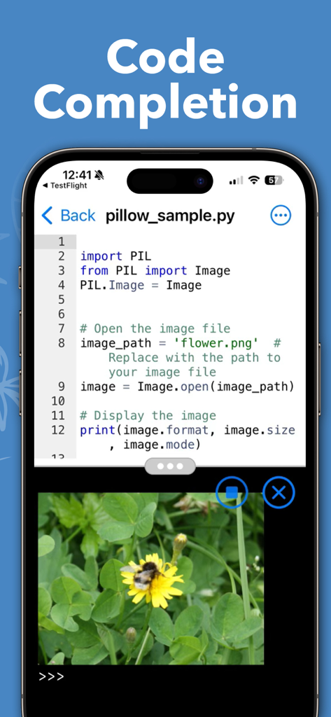 Python Editor App interface showing code completion and image processing output on an iPhone