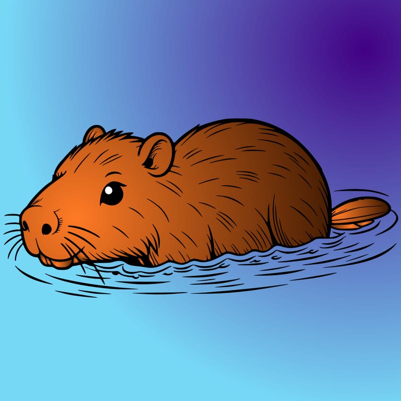 capybara swimming