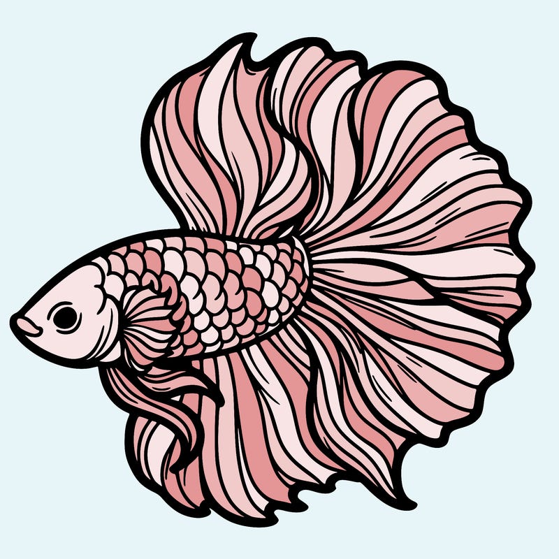 betta fish