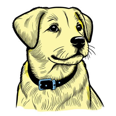 dog realistic