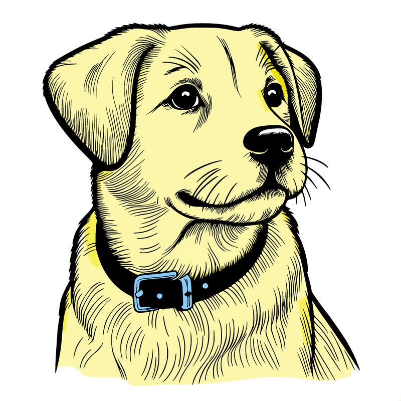 dog realistic