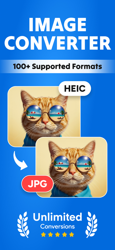 Screenshot of Image Converter app showing a HEIC to JPG format conversion featuring a cat in sunglasses