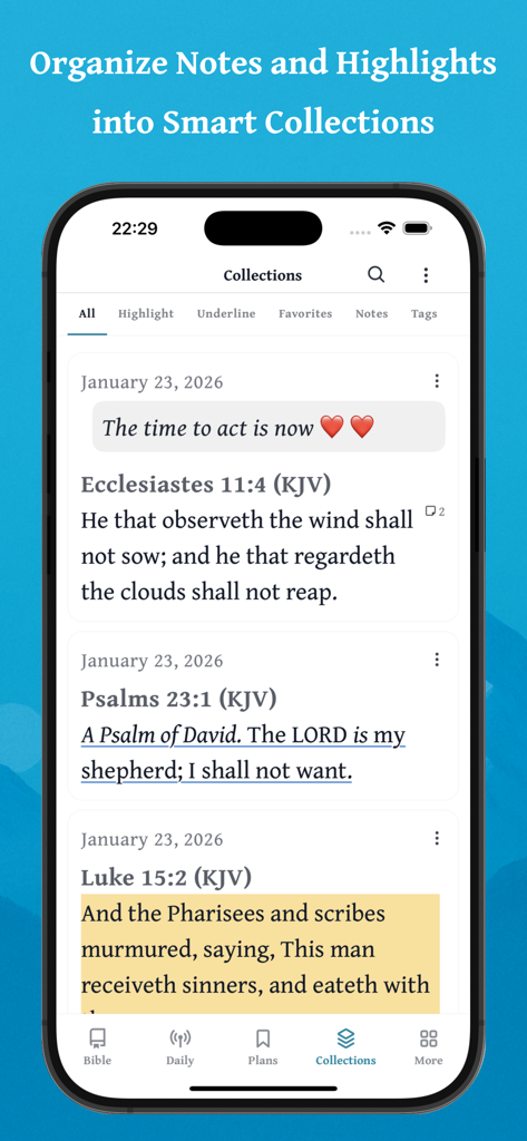 Daily Bible - Offline & Audio - Interface showing organized notes and verse highlights in the Collections screen of the Daily Bible app