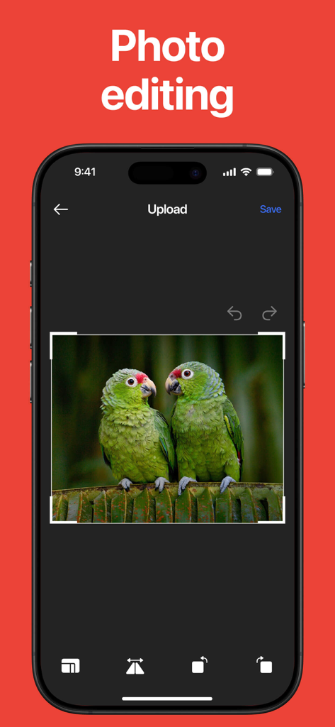 Lens: Reverse Image Search - Photo editing screen in the Lens app showing a crop tool over an image of two green parrots