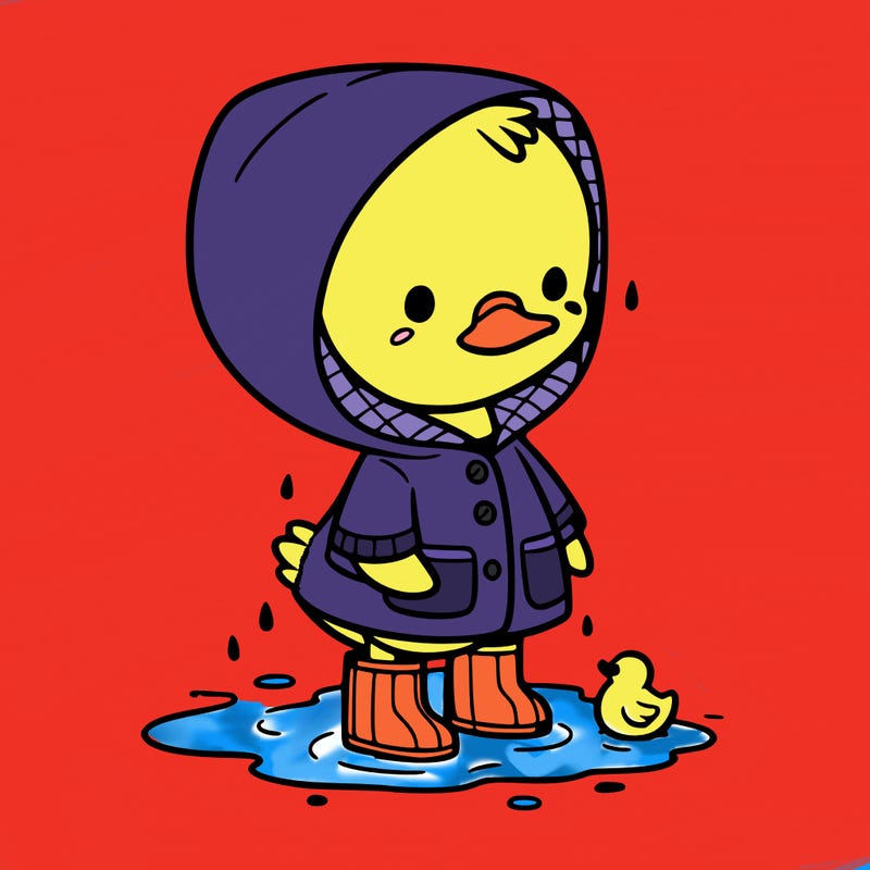 baby duck in a rain coat and boots, in a puddle while it’s raining