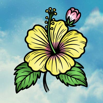 hibiscus flower