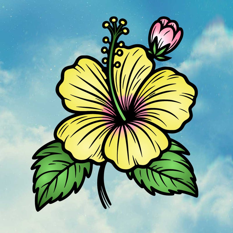 hibiscus flower