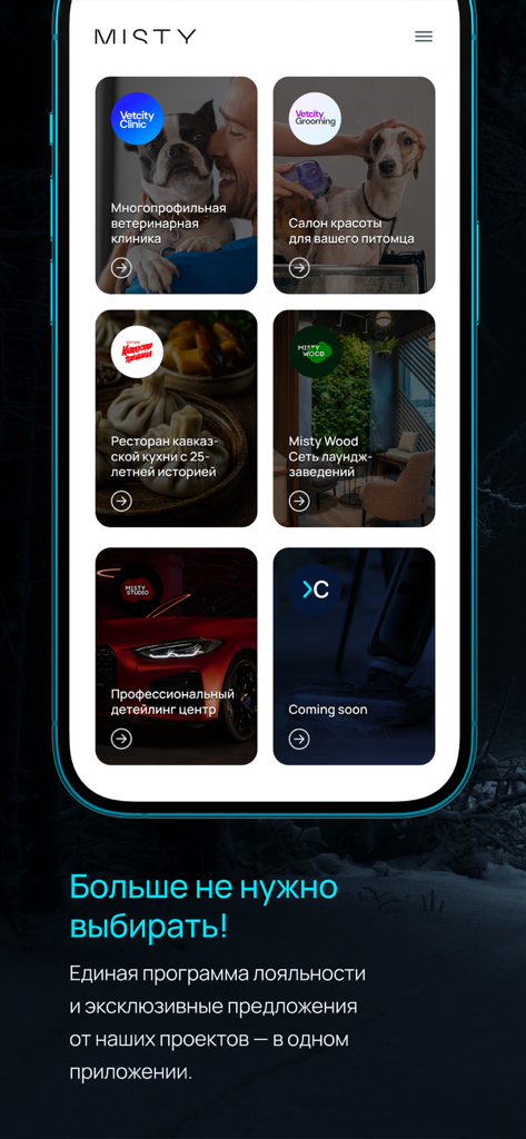 The My Misty app interface showing various service projects like a vet clinic and restaurant in a unified loyalty ecosystem