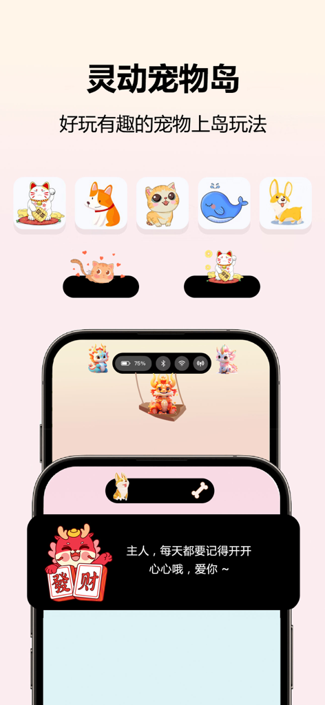 TwoTwoWidgets - 万能桌面小组件盒子壁纸美化 - TwoTwoWidgets app screen showing dynamic island pet features and cute animal widgets for iPhone
