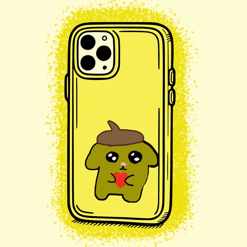 phone case
