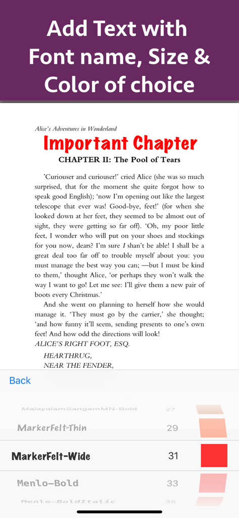 フォントサイズと色のオプションを使用して、PDFドキュメントにテキストを追加およびカスタマイズする