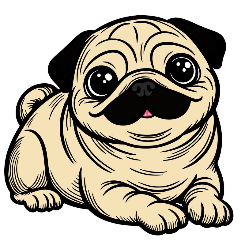 pug