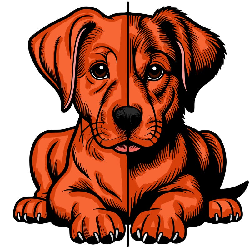 realistic dog split picture