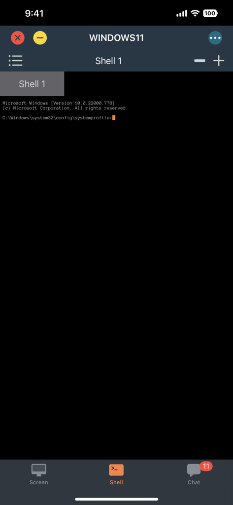 BeyondTrust Access Console - Interfaz de línea de comandos remota de BeyondTrust Access Console para Windows 11