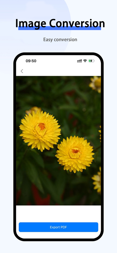 Transfer-send large files - 黄色い花の写真が表示され、PDFとしてエクスポートするオプションがあるアプリのインターフェース