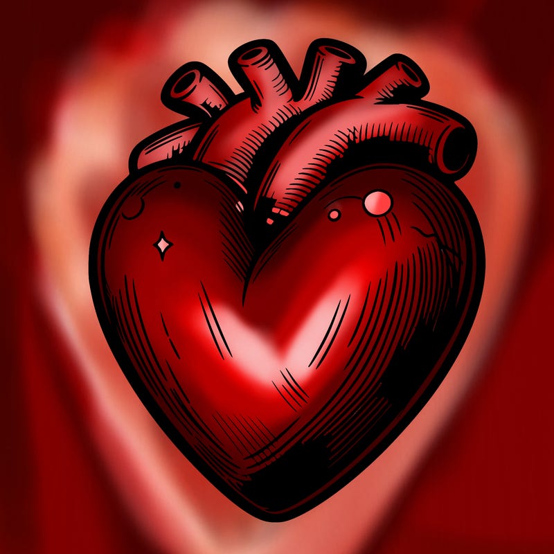 realistic heart