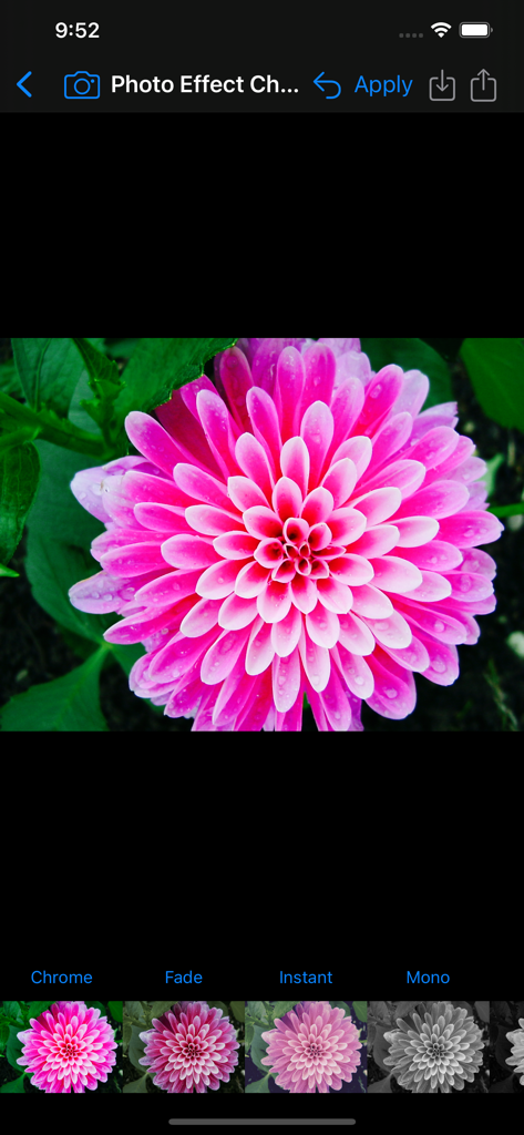 Interface do aplicativo Image Filters Photo Editor mostrando uma flor rosa com o filtro Chrome aplicado