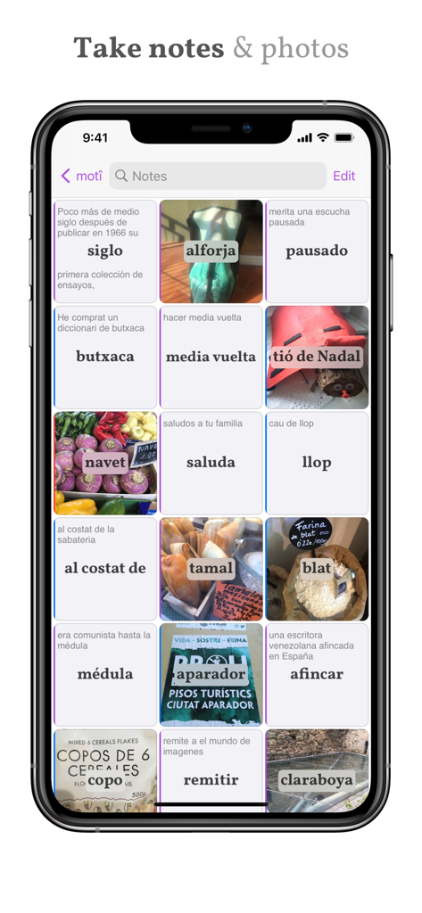 A grid display of vocabulary notes featuring words example sentences and images