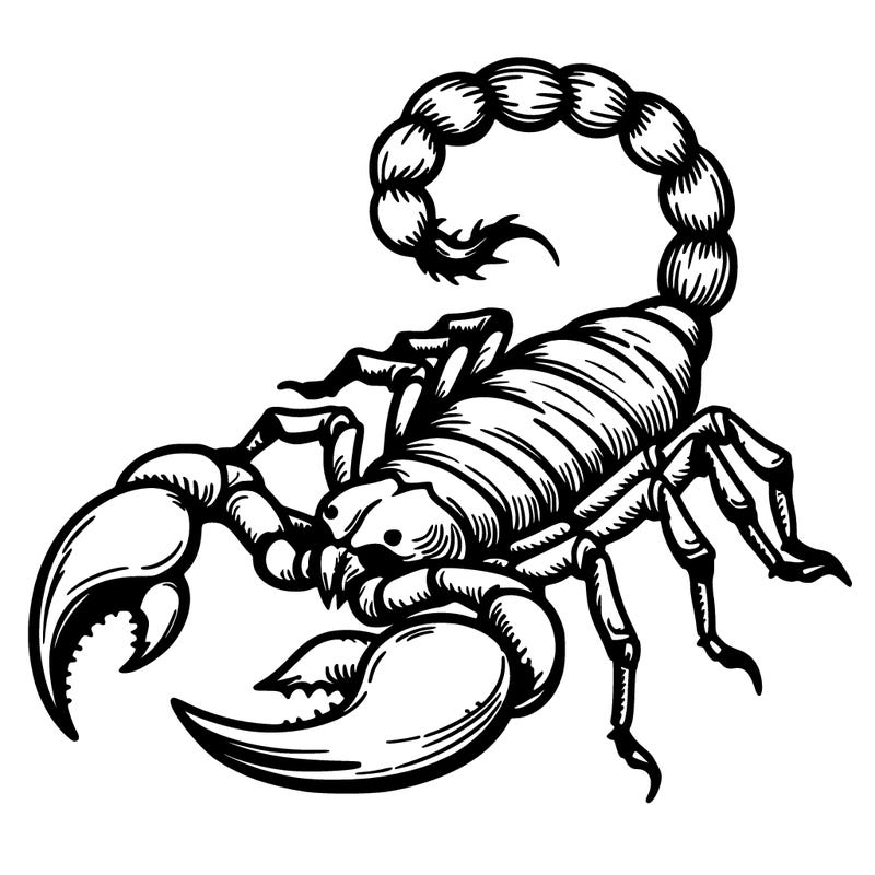 scorpion