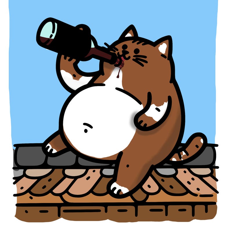 fat cat sitting on roof chugging bottle