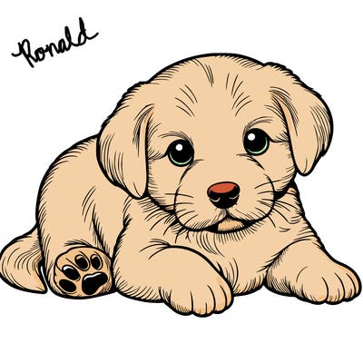 a cute realistic puppy