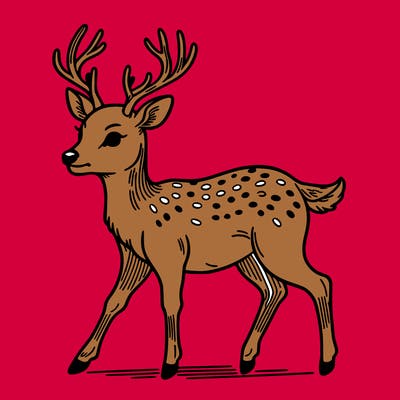 deer