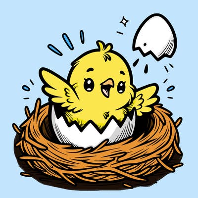 a baby chick hatching from an egg in a nest
