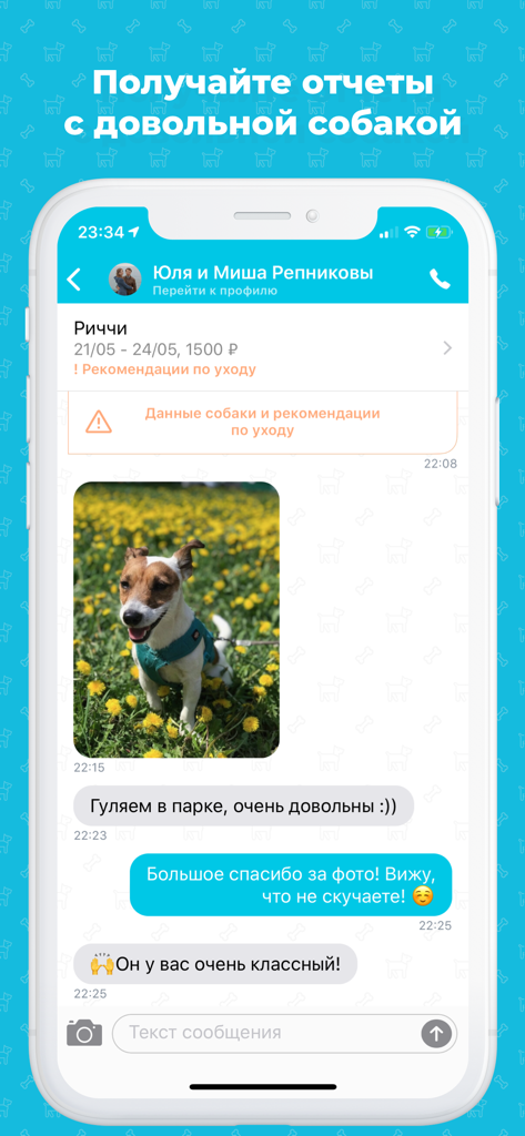 Догси – Передержка и выгул - Smartphone screen showing a chat interface in the Dogsi app where a pet sitter shares a photo report of a dog in a park with its owner.